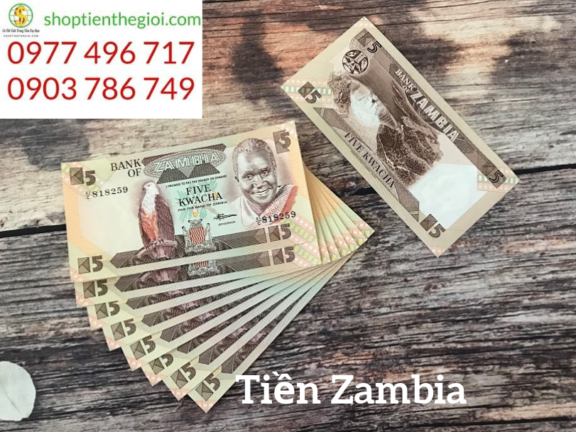 Zambia