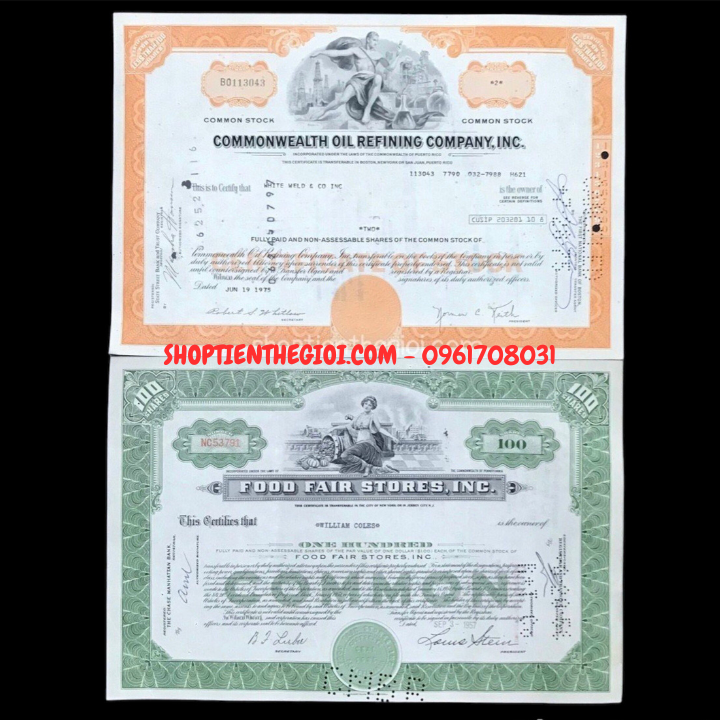 Chứng Nhận Cổ Phiếu Của Công Ty Mỹ