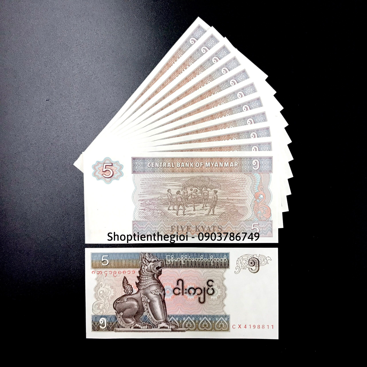 Myanmar 5 Kyats 1996 UNC - TT000135