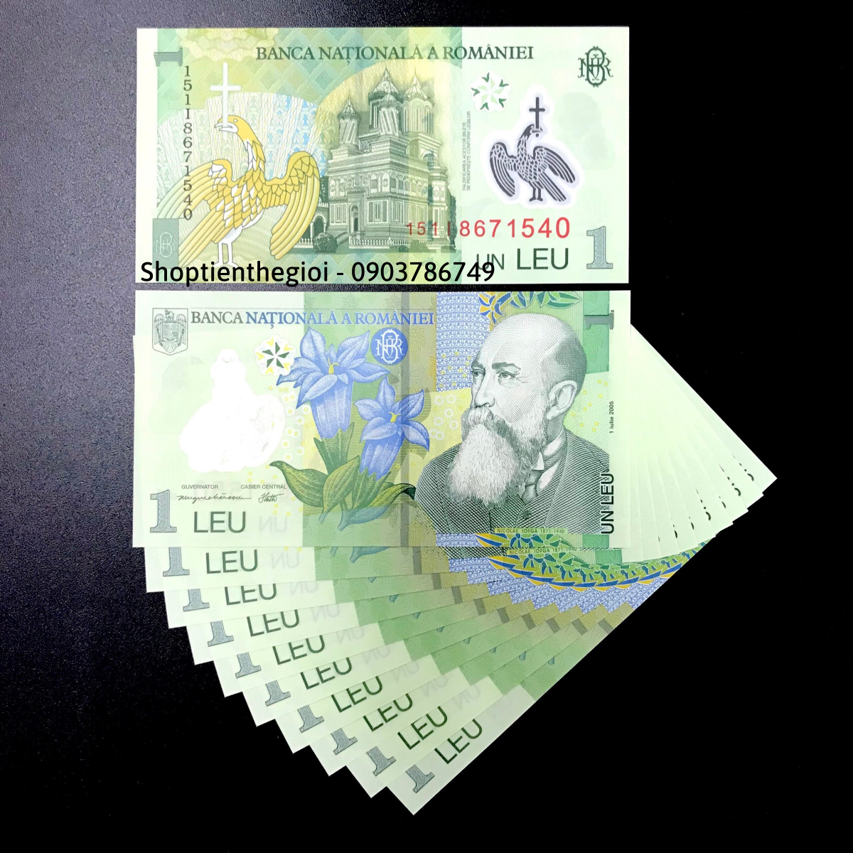 Romania 1 Leu 2005 Polyme - TT000771