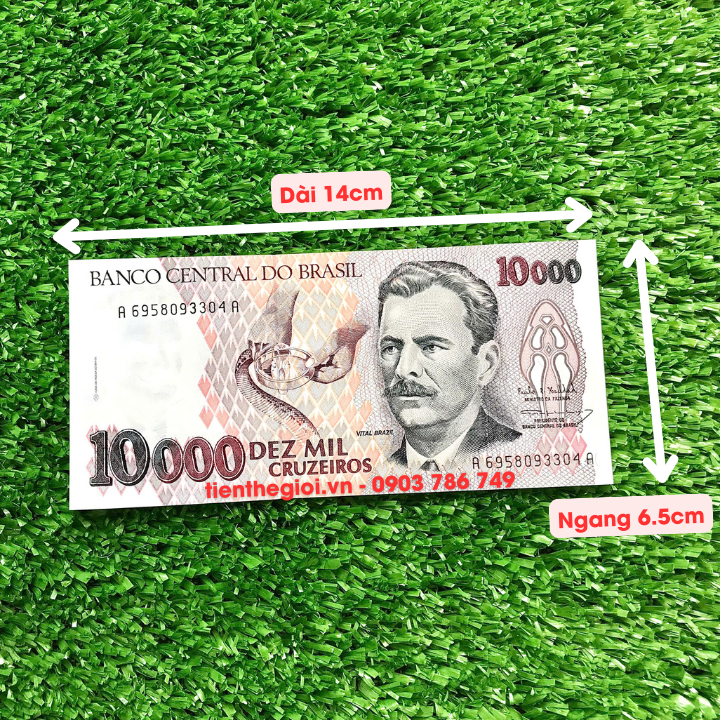 Tiền hình Con Rắn Brasil 10.000 Cruzeiros