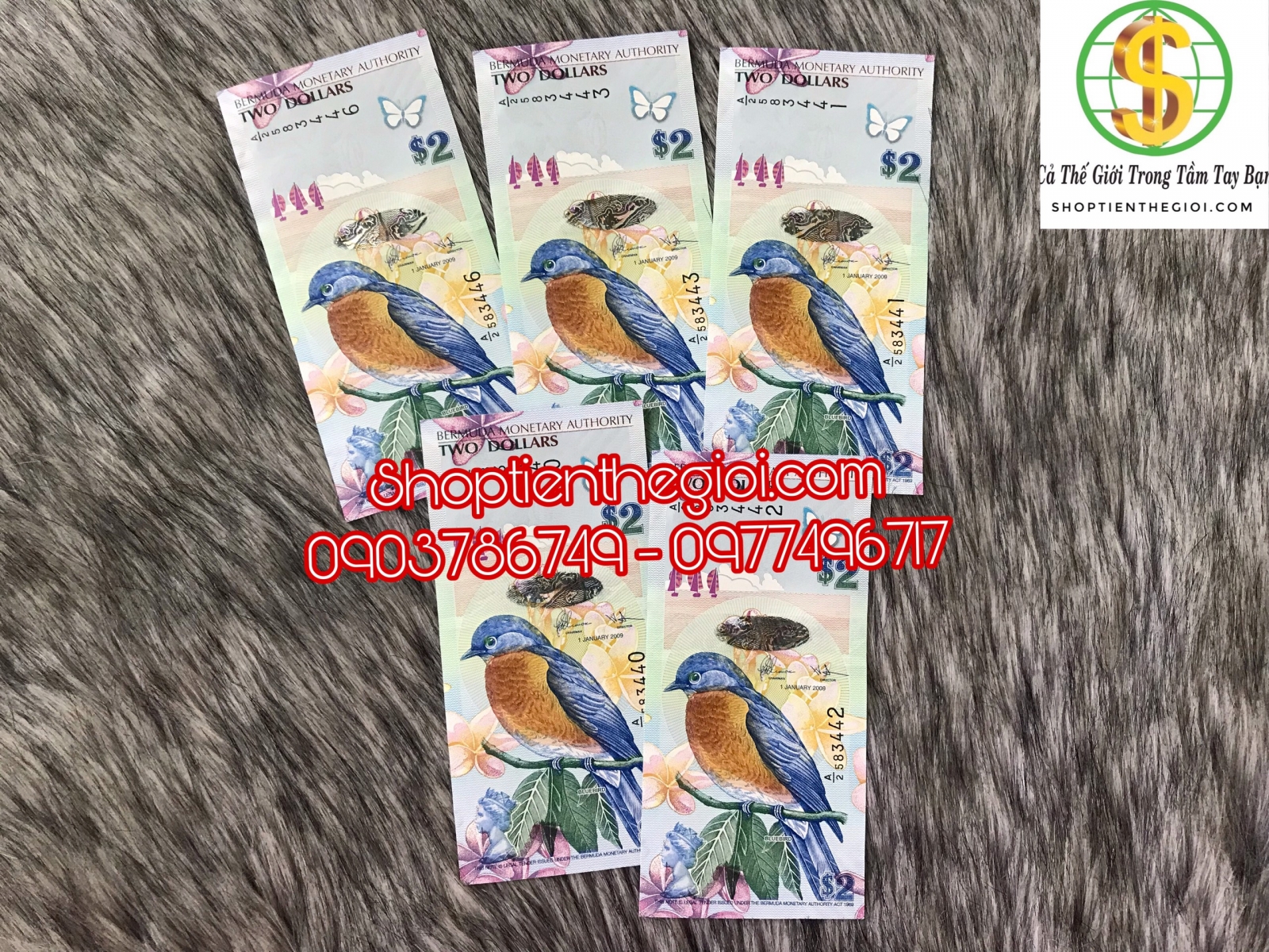 Tiền 2 dolla Bermuda - Bermuda banknote