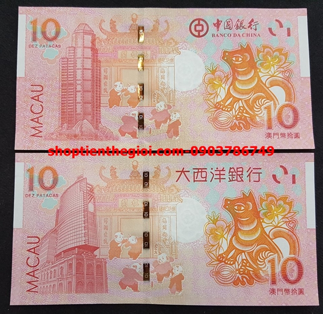 10 dola macao con chó