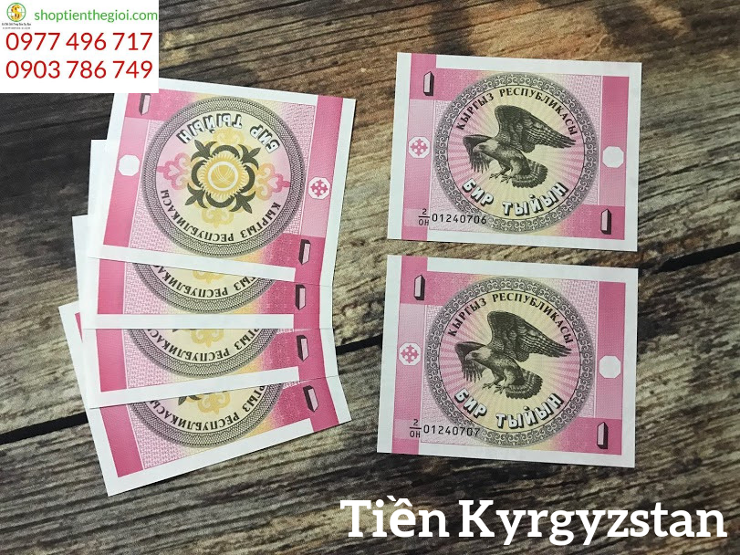 Kyzikistan