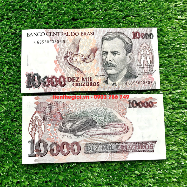 Tiền hình Con Rắn Brasil 10.000 Cruzeiros