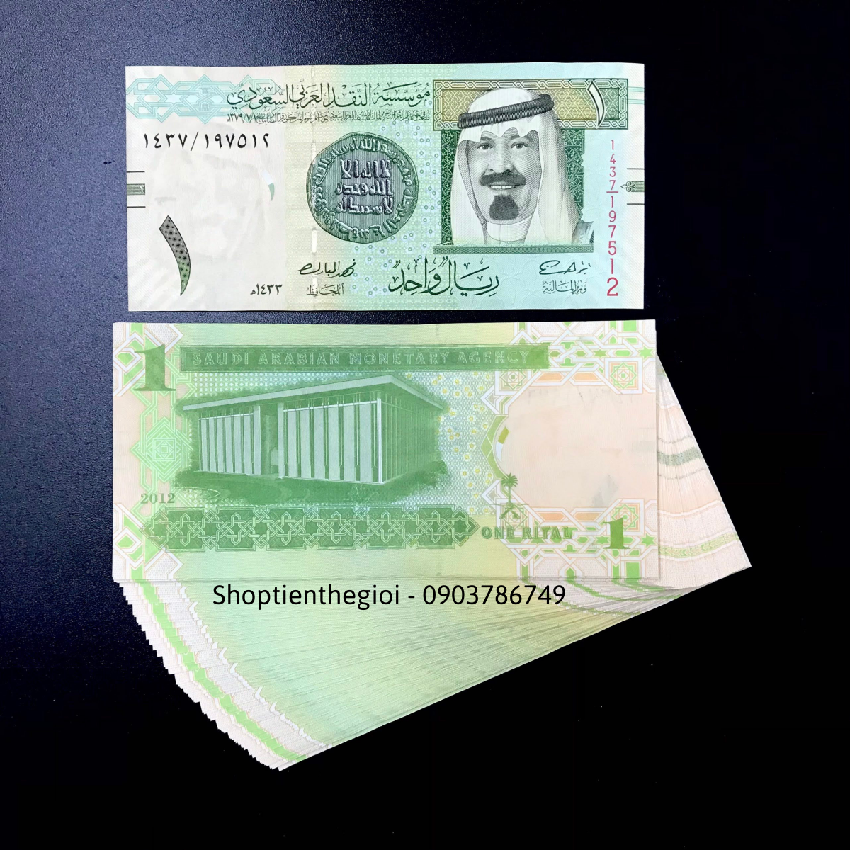 Saudi Arabia - Ả Rập Saudi 1 Rial 2009 UNC - TT000303