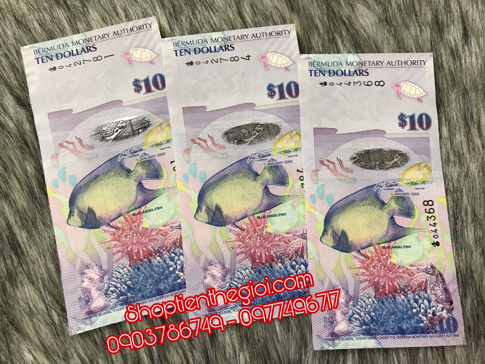 Bermuda 10 dollars 2009 UNC