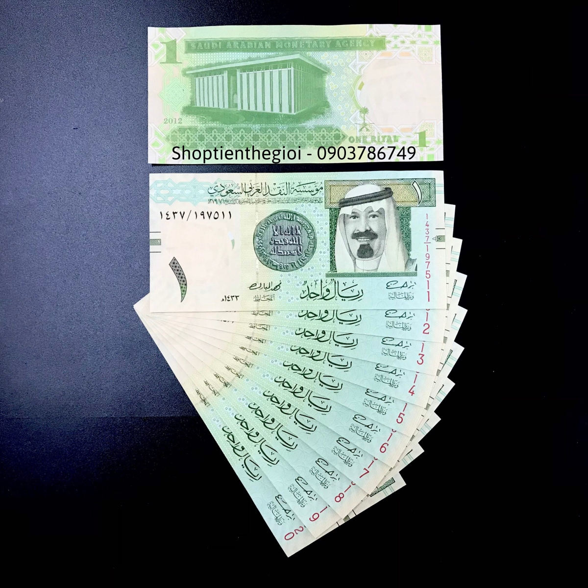 Saudi Arabia - Ả Rập Saudi 1 Rial 2009 UNC - TT000303