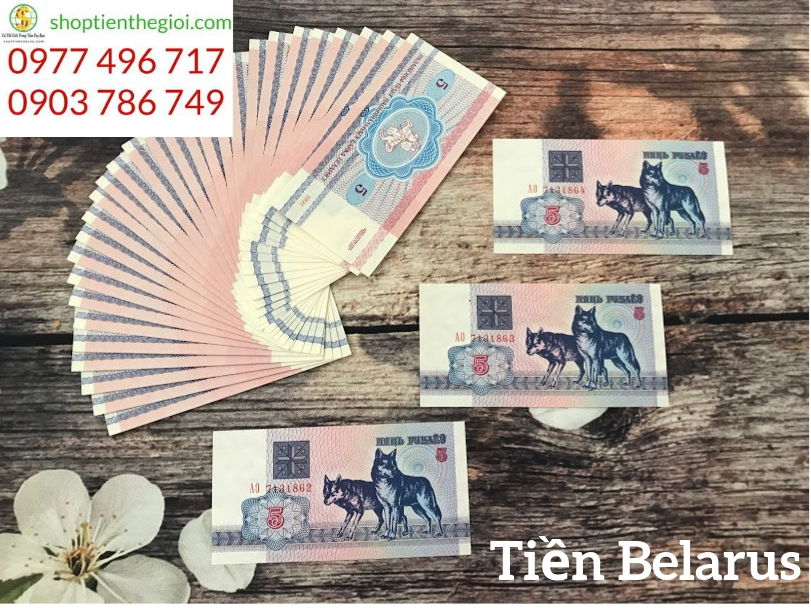 Belarus con chó