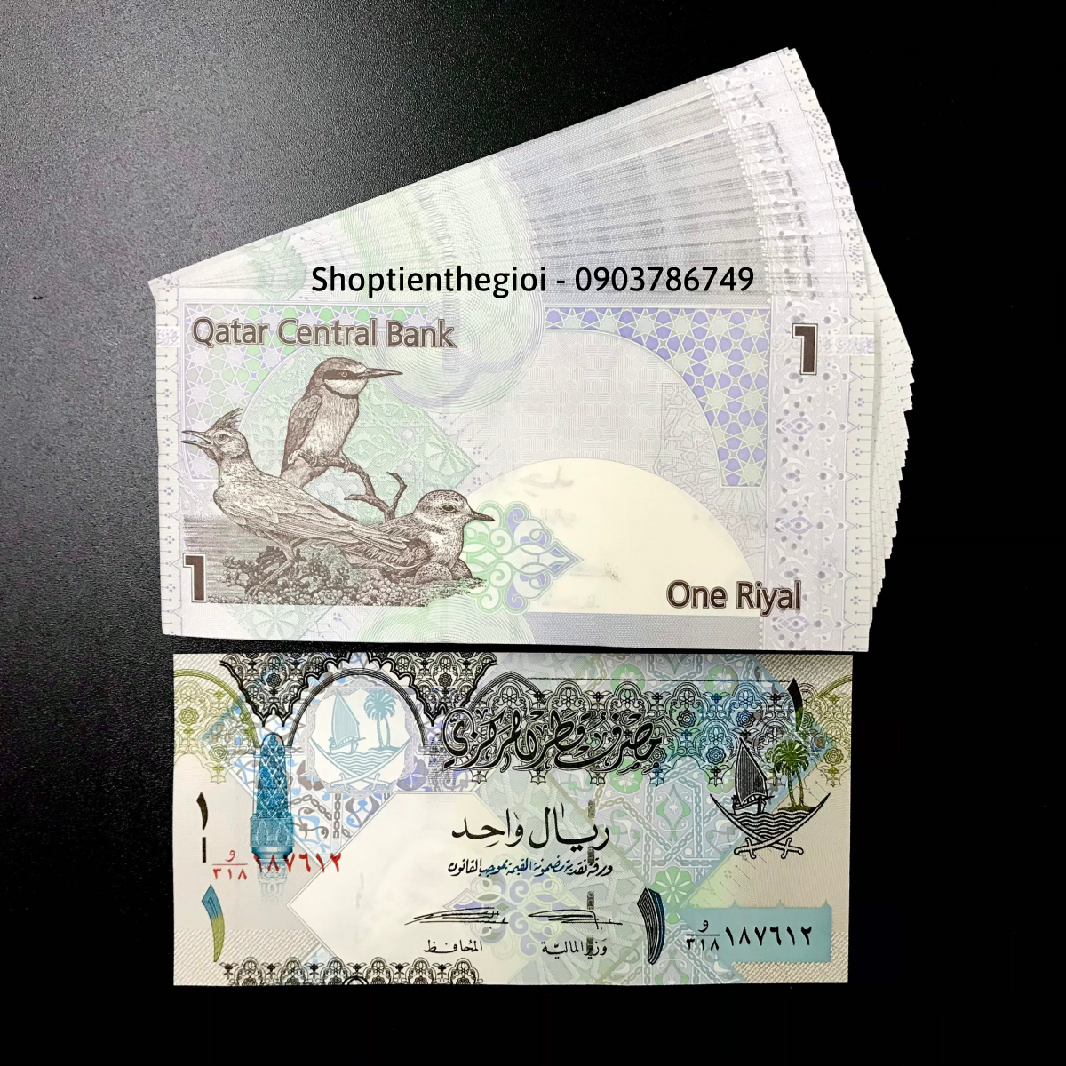 Qatar 1 Riyal 2008 UNC - TT000110
