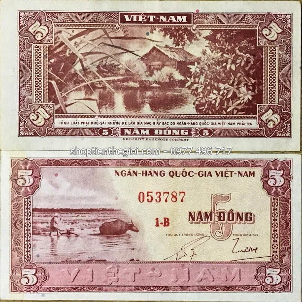 5 đồng