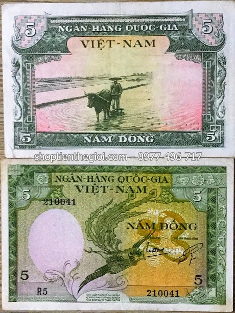 Tiền xưa Việt Nam 5 đồng năm 1955 lần 2