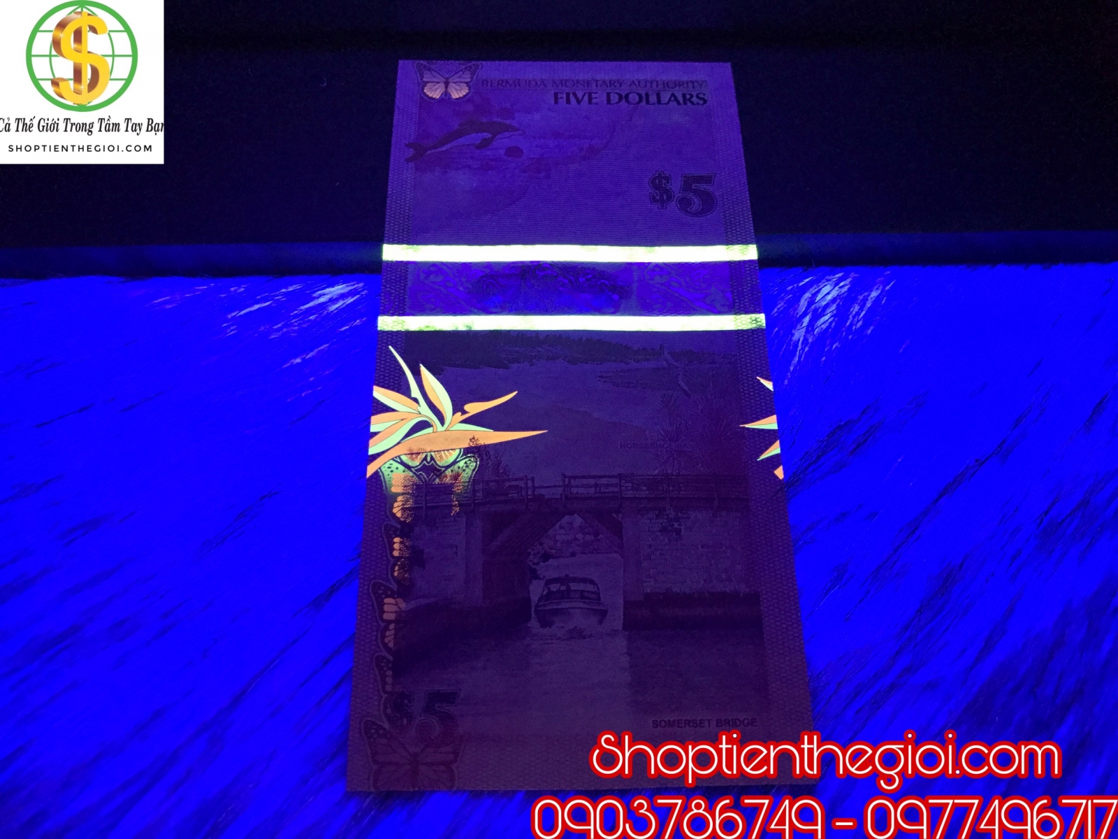 Bermuda 5 dolla 2009 