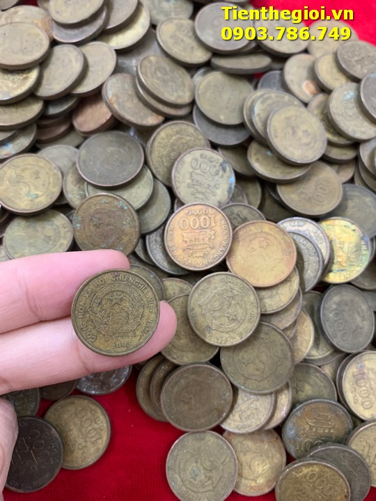 Combo 50 Xu 1000đ 2003 đã qua sử dụng