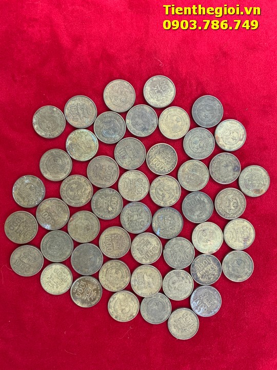 Combo 50 Xu 1000đ 2003 đã qua sử dụng