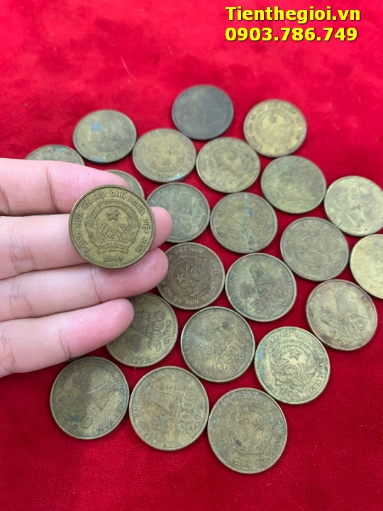 Combo 50 Xu 2000đ 2003 đã qua sử dụng