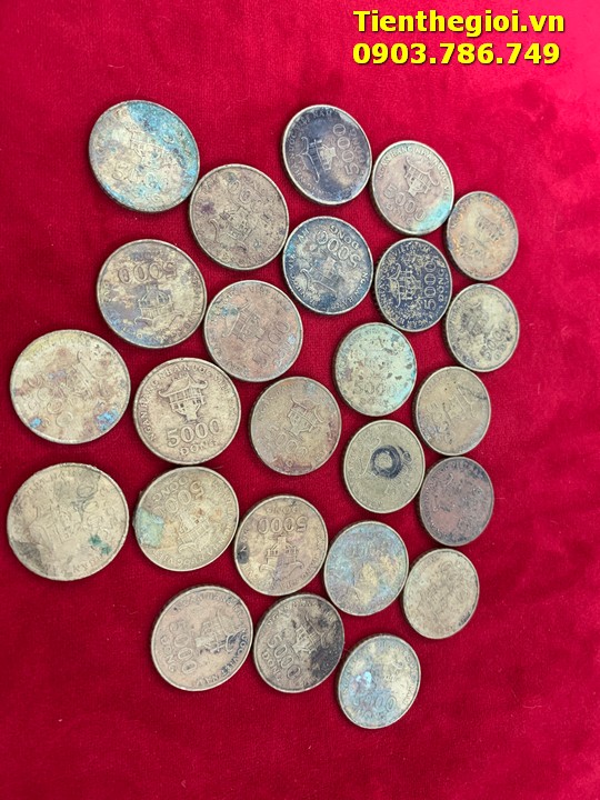 Combo 50 Xu 5000đ 2003 đã qua sử dụng