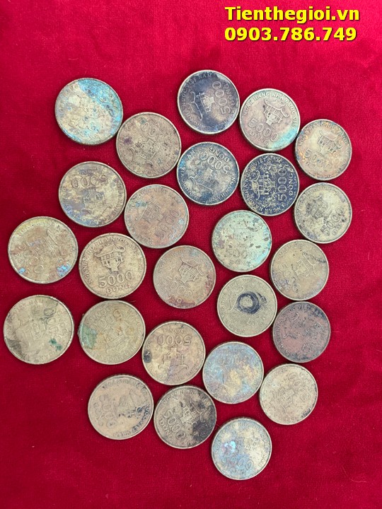 Combo 50 Xu 5.000đ 2003 đã qua sử dụng