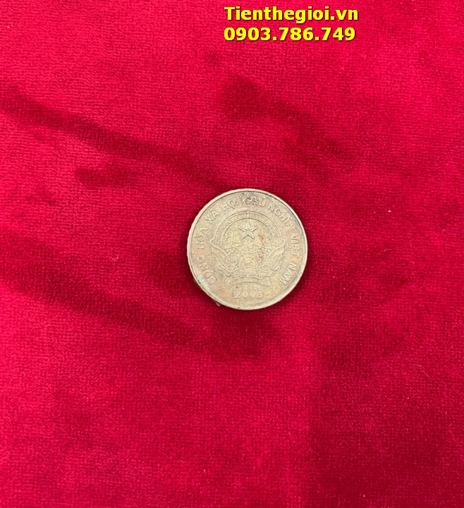 Combo 50 Xu 5.000đ 2003 đã qua sử dụng