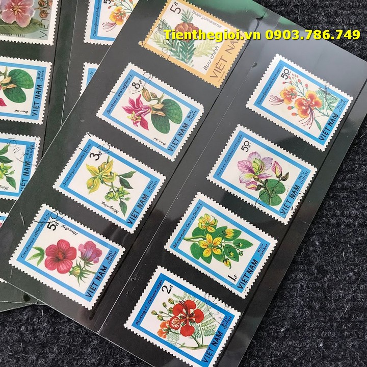 Bộ 8 tem Việt Nam Chủ đề Hoa