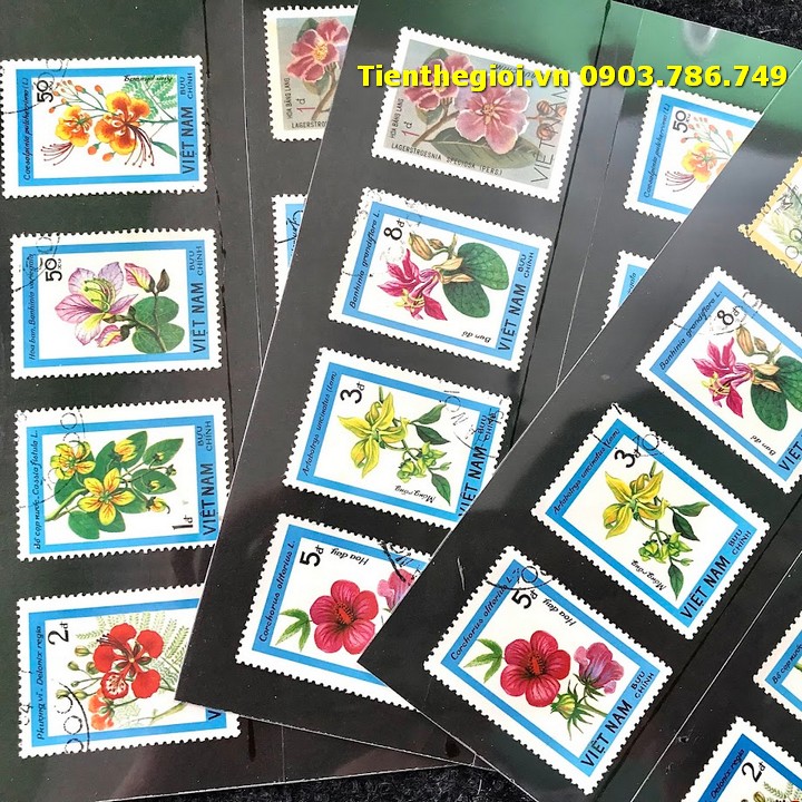 Bộ 8 tem Việt Nam Chủ đề Hoa