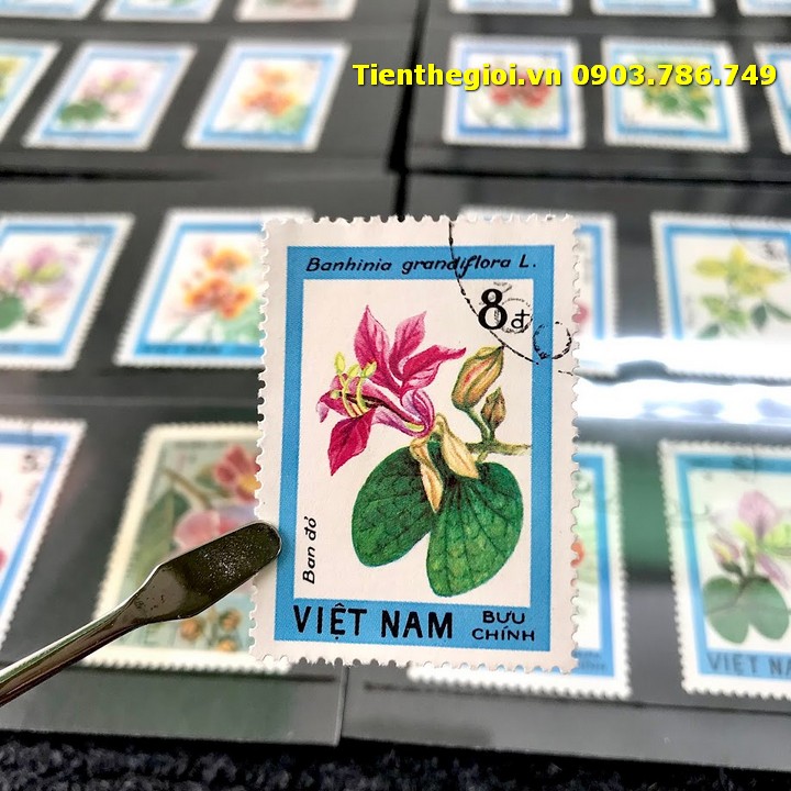 Bộ 8 tem Việt Nam Chủ đề Hoa
