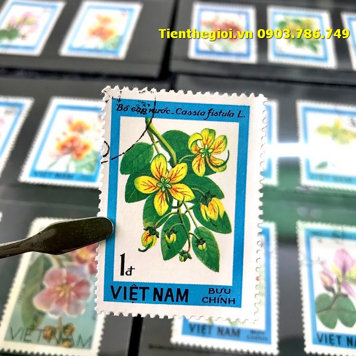 Bộ 8 tem Việt Nam Chủ đề Hoa
