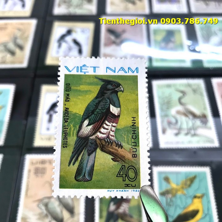 Bộ 8 tem Việt Nam Chủ đề Chim