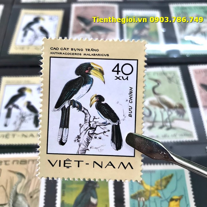 Bộ 8 tem Việt Nam Chủ đề Chim