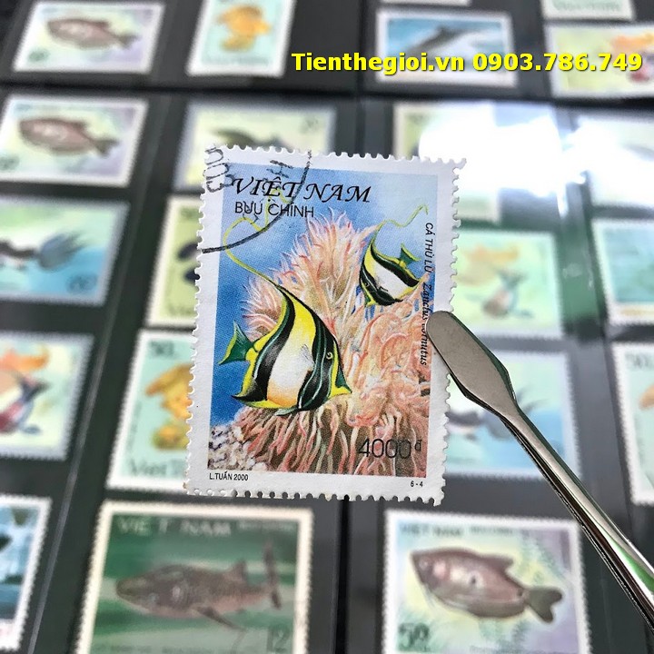 Bộ 8 tem Việt Nam Chủ đề Cá Nấm
