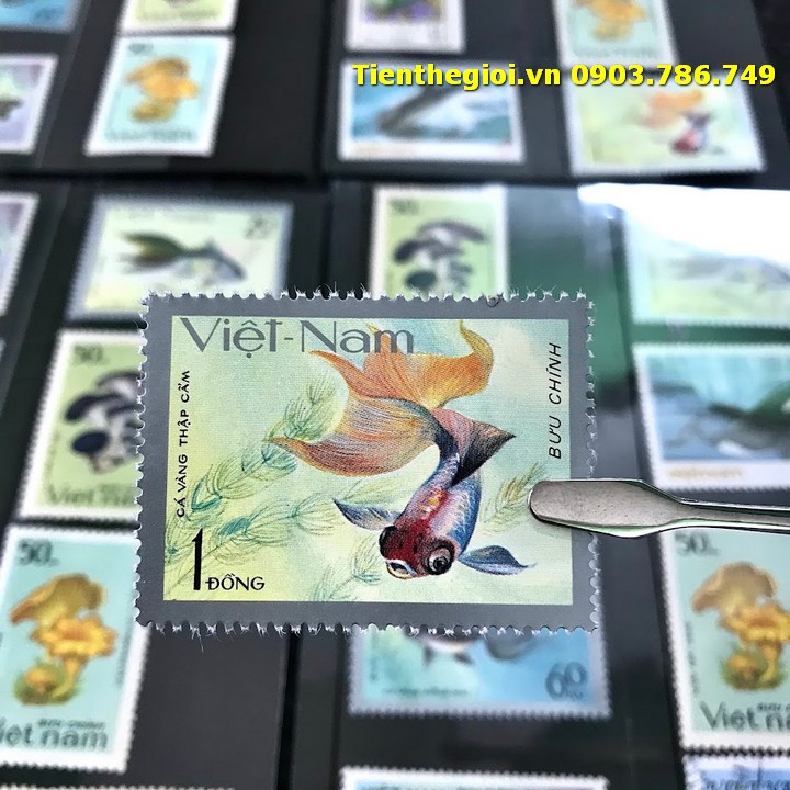 Bộ 8 tem Việt Nam Chủ đề Cá Nấm