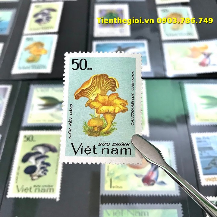 Bộ 8 tem Việt Nam Chủ đề Cá Nấm
