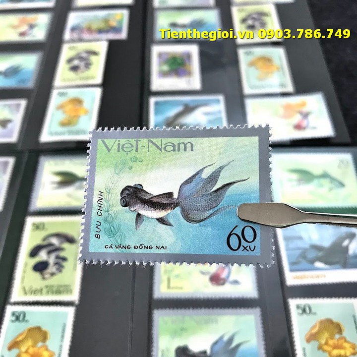 Bộ 8 tem Việt Nam Chủ đề Cá Nấm