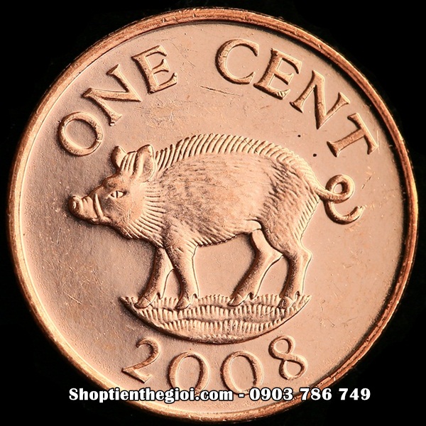 Xu Bermuda 1 Cent 2008 con Heo - SP005042