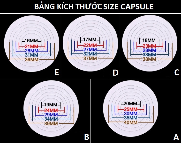 Hộp 20 Capsules Tròn Đựng Xu