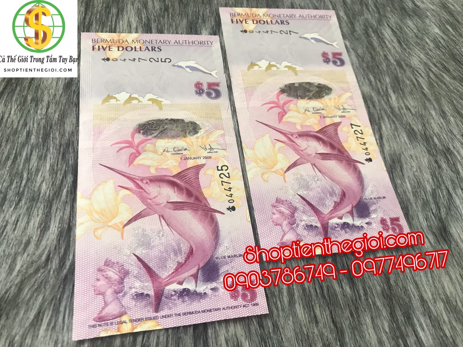 Bermuda 5 dollars 2009