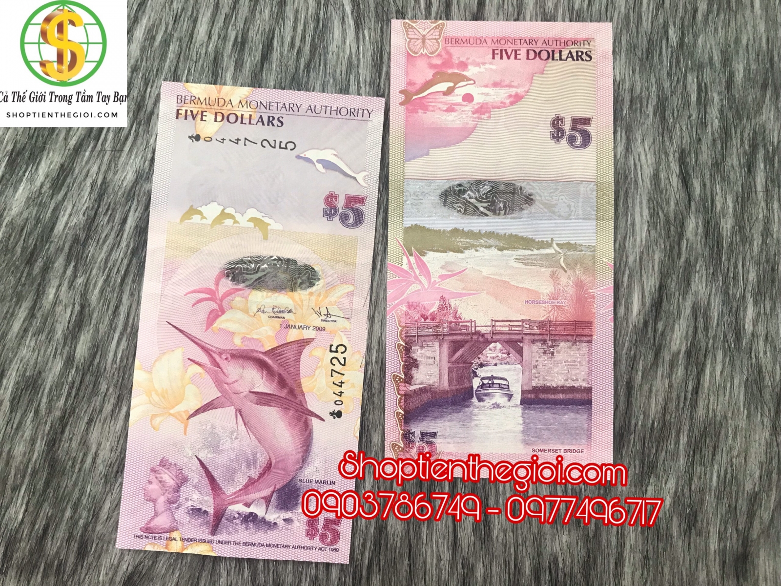 Bermuda 5 dolla 2009 