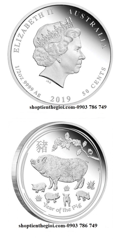 tiền xu hình con heo