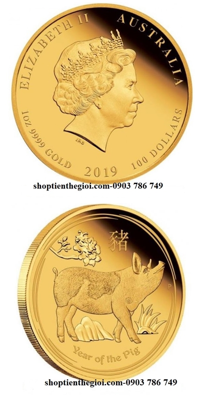 tiền xu hình con heo