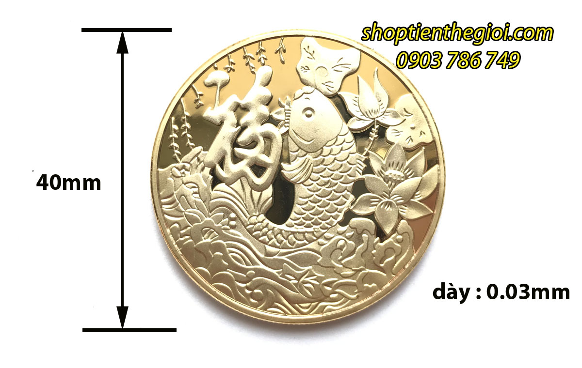 Kích thước  Xu Cá Chép Lớn Hóa Rồng Mạ Vàng