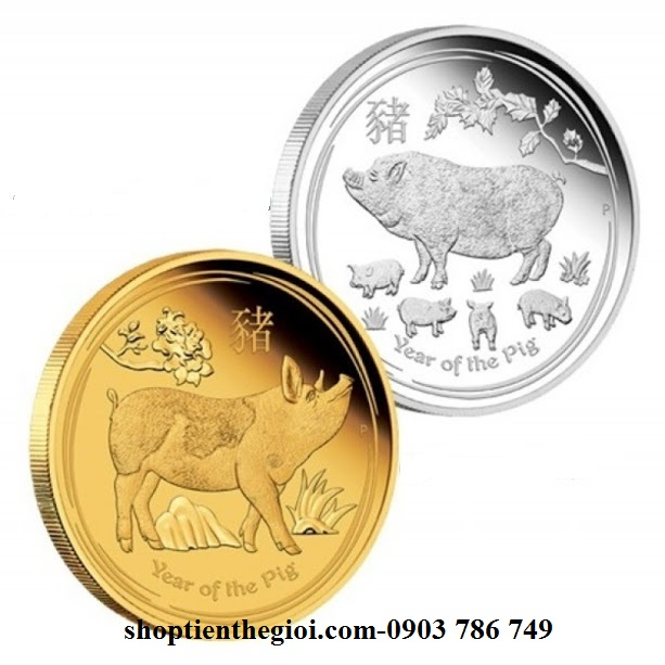 tiền xu hình con heo