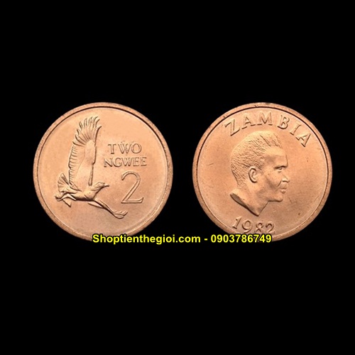 100 xu Zambia 2 Enwei 1982