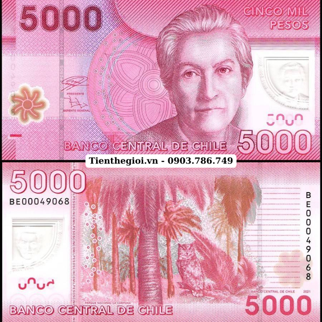 Chile 5000 Pesos 2021 UNC Polyme - SP008049