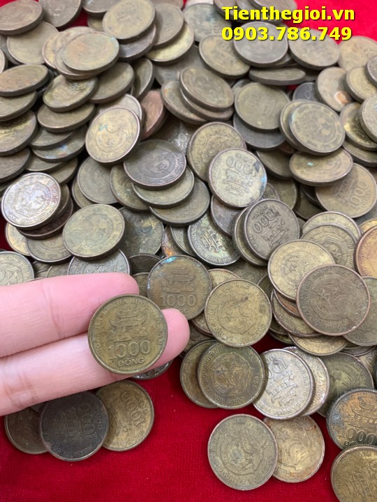 Combo 50 Xu 1000 đồng 2003 đã qua sử dụng - SP008004