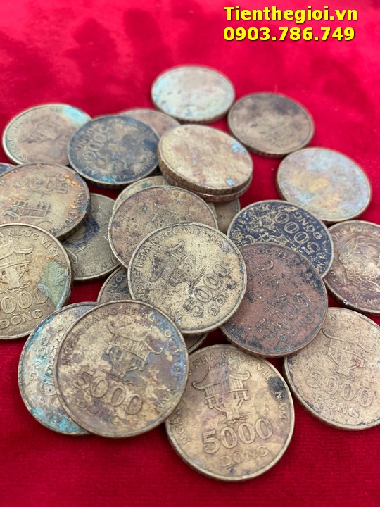 Combo 50 Xu 5000 đồng 2003 đã qua sử dụng - SP008005