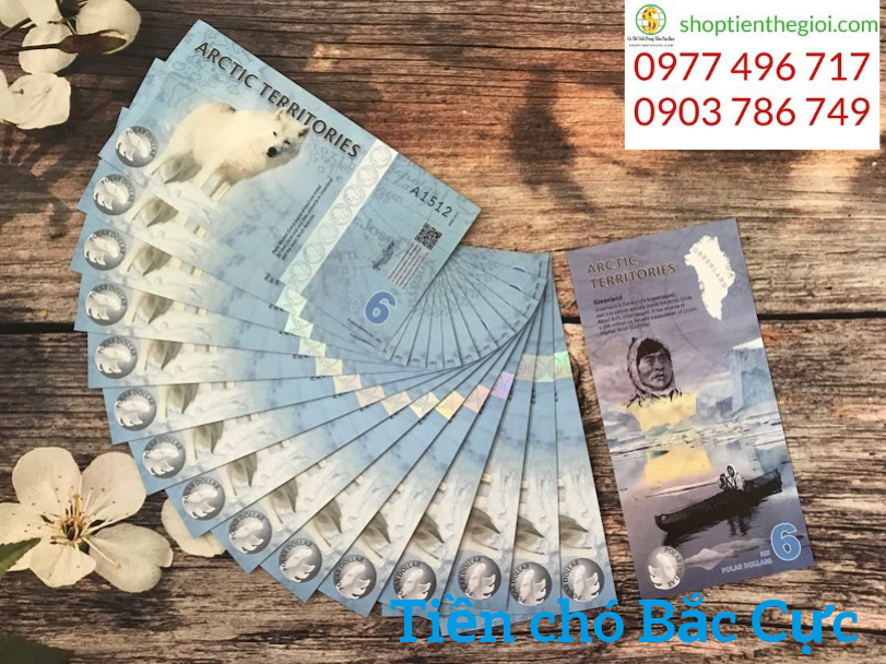 Con Chó Bắc Cực