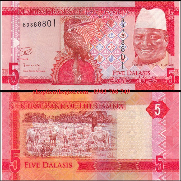 Gambia 5 Dalasis 2015 UNC
