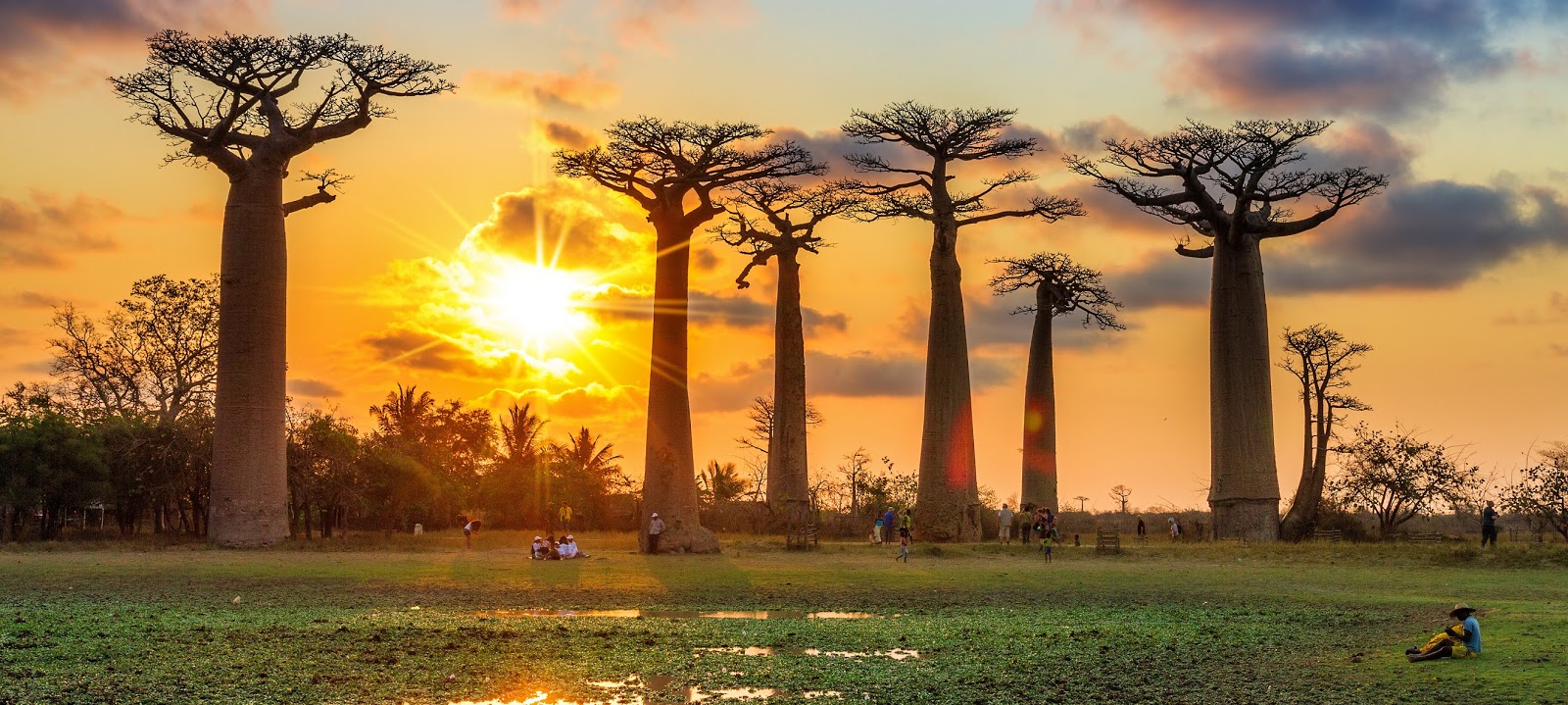 Những điều chưa biết về đảo Madagascar