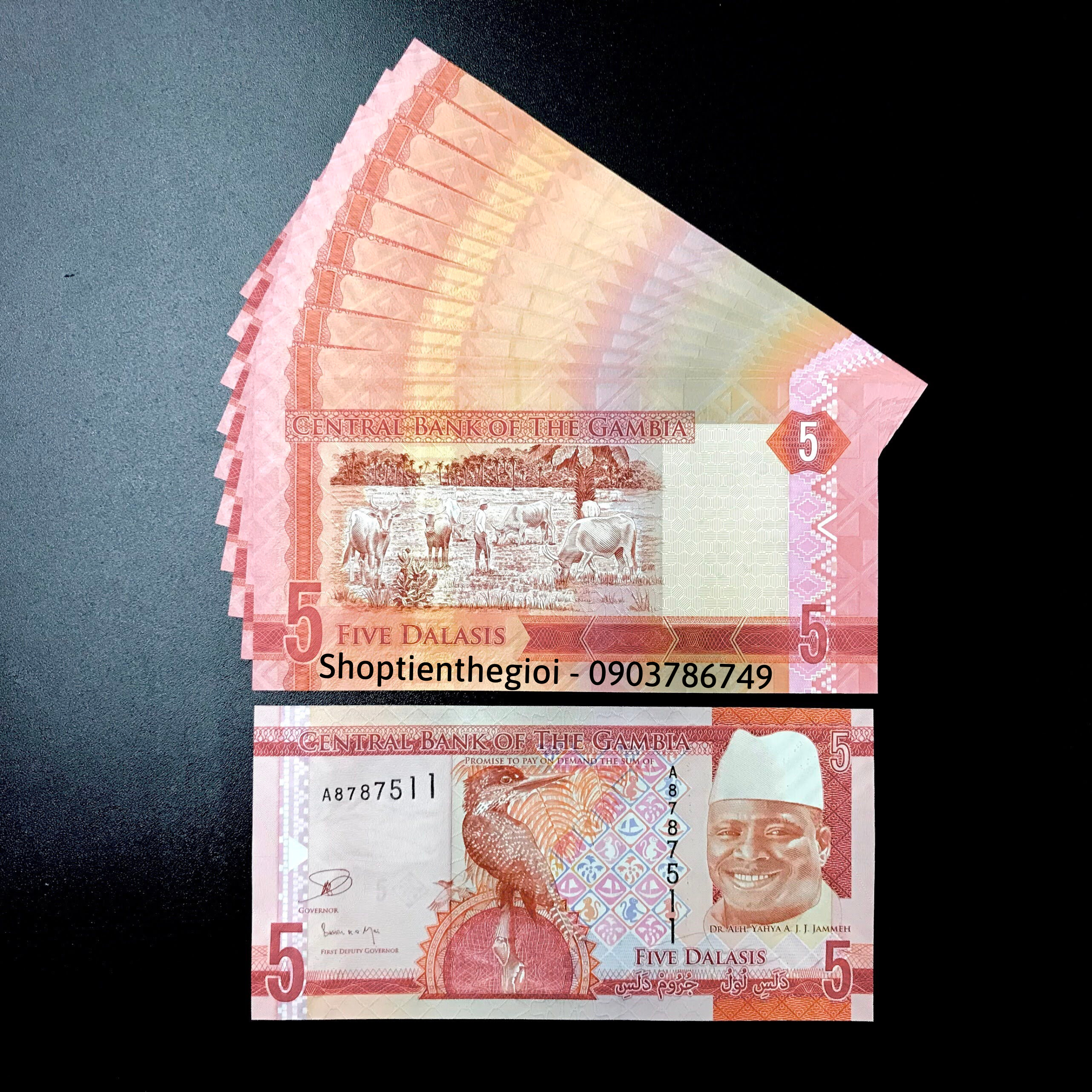 Sỉ 10 Tờ Gambia 5 Dalasis 2015 UNC - TT000353