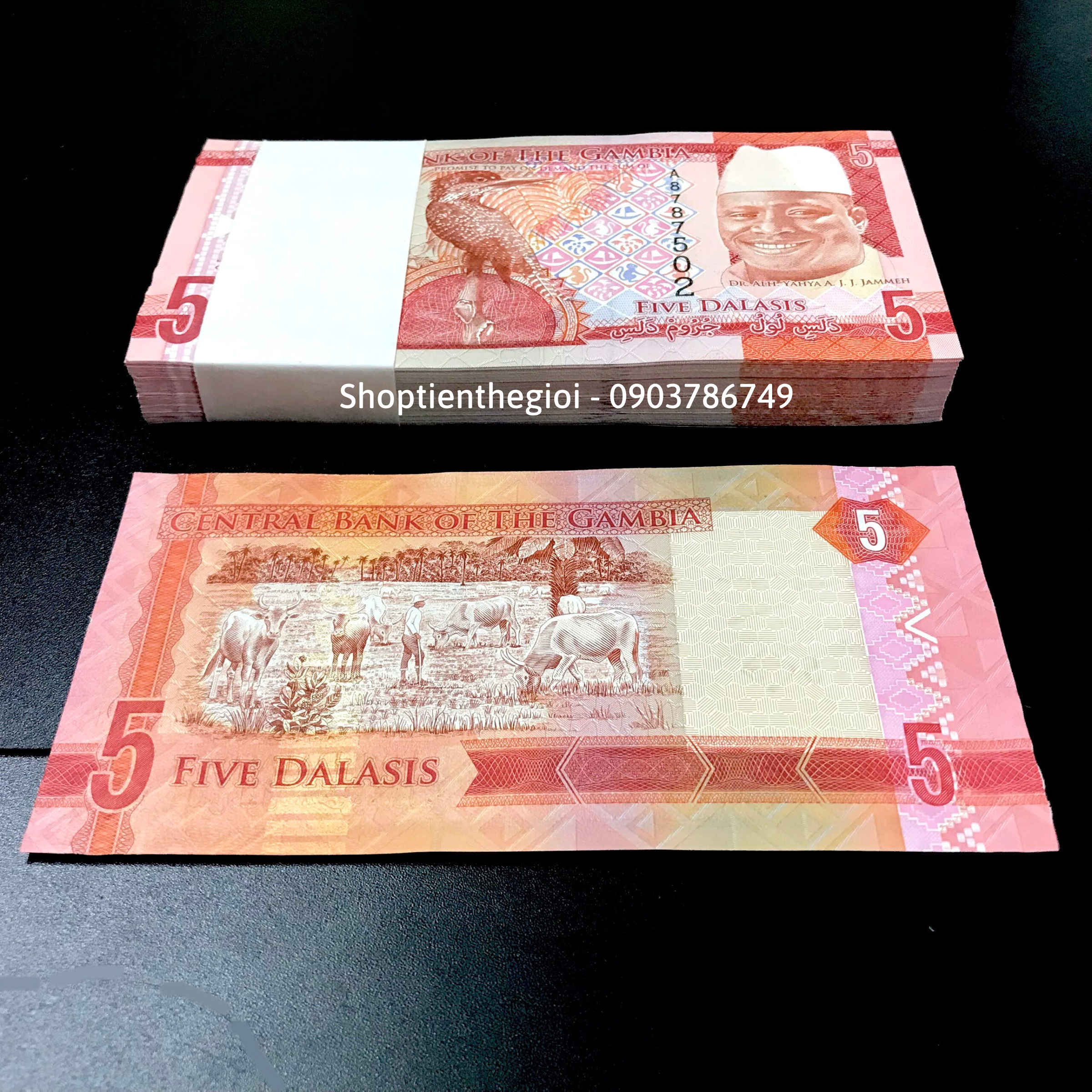 Sỉ 100 Tờ Gambia 5 Dalasis 2015 UNC - TT000353